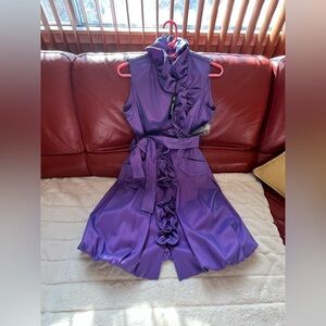 Elegant Purple Ruffle Dress